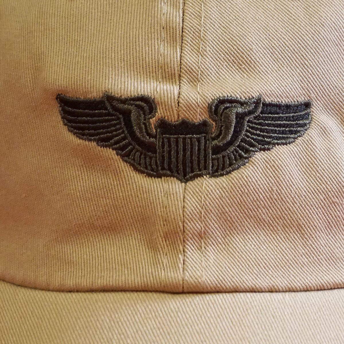 Basic Pilot Wings