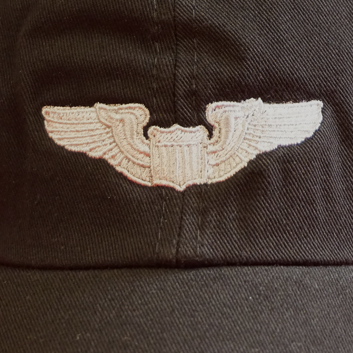 Basic Pilot Wings