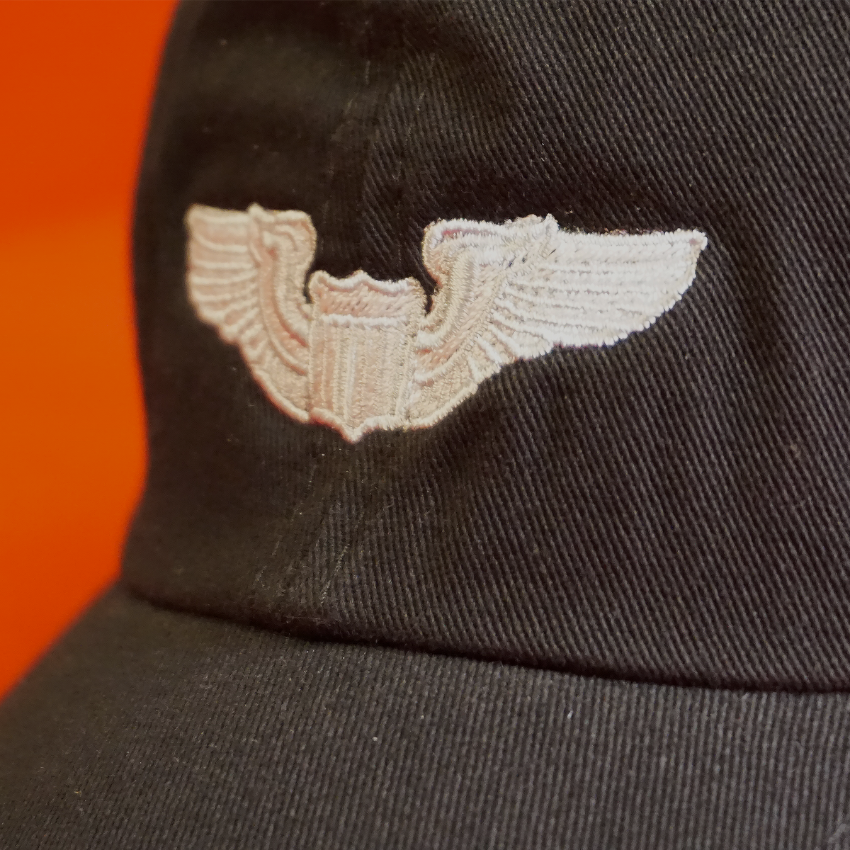Basic Pilot Wings