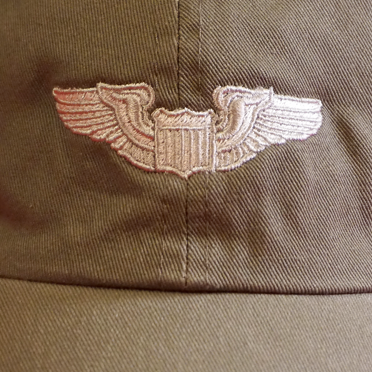 Basic Pilot Wings