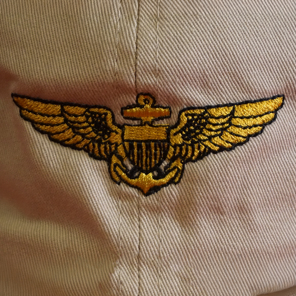 Naval Aviator