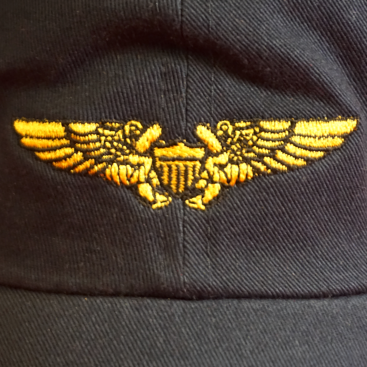 Navy/Marine Flight Officer