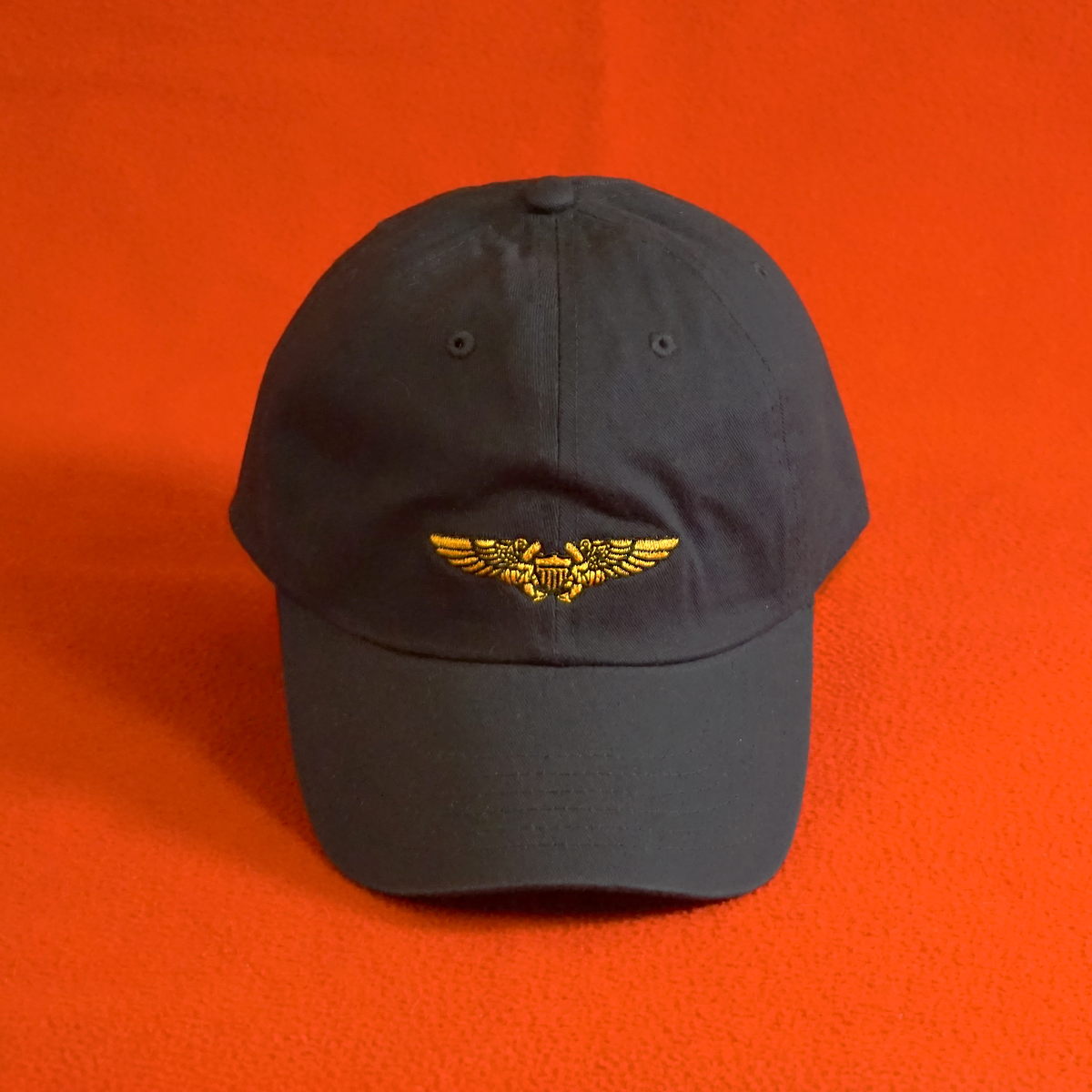 Navy/Marine Flight Officer