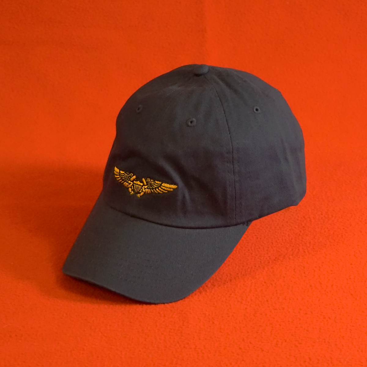 Navy/Marine Flight Officer