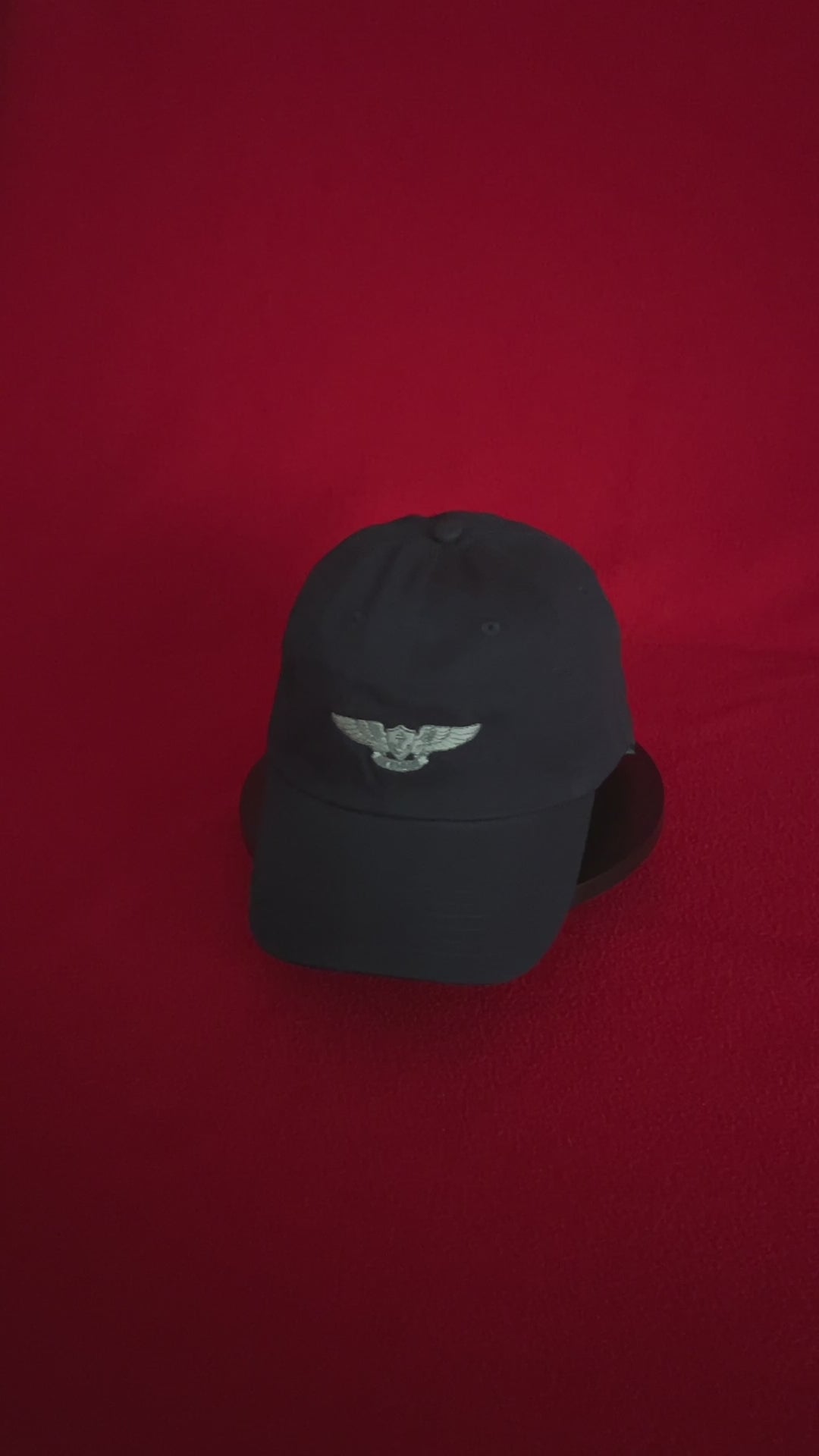 Naval Aircrew Warfare Specialist