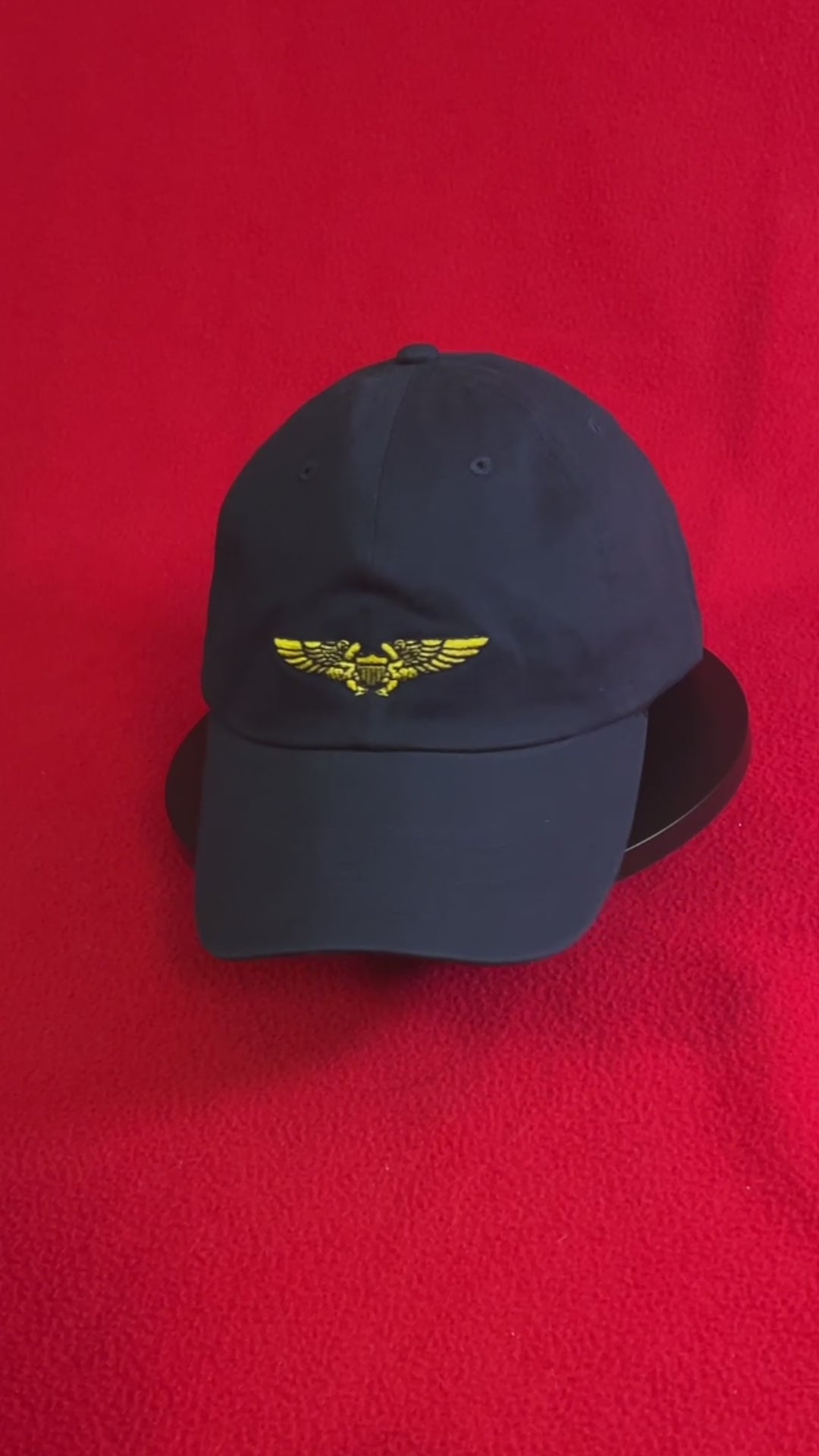 Navy/Marine Flight Officer