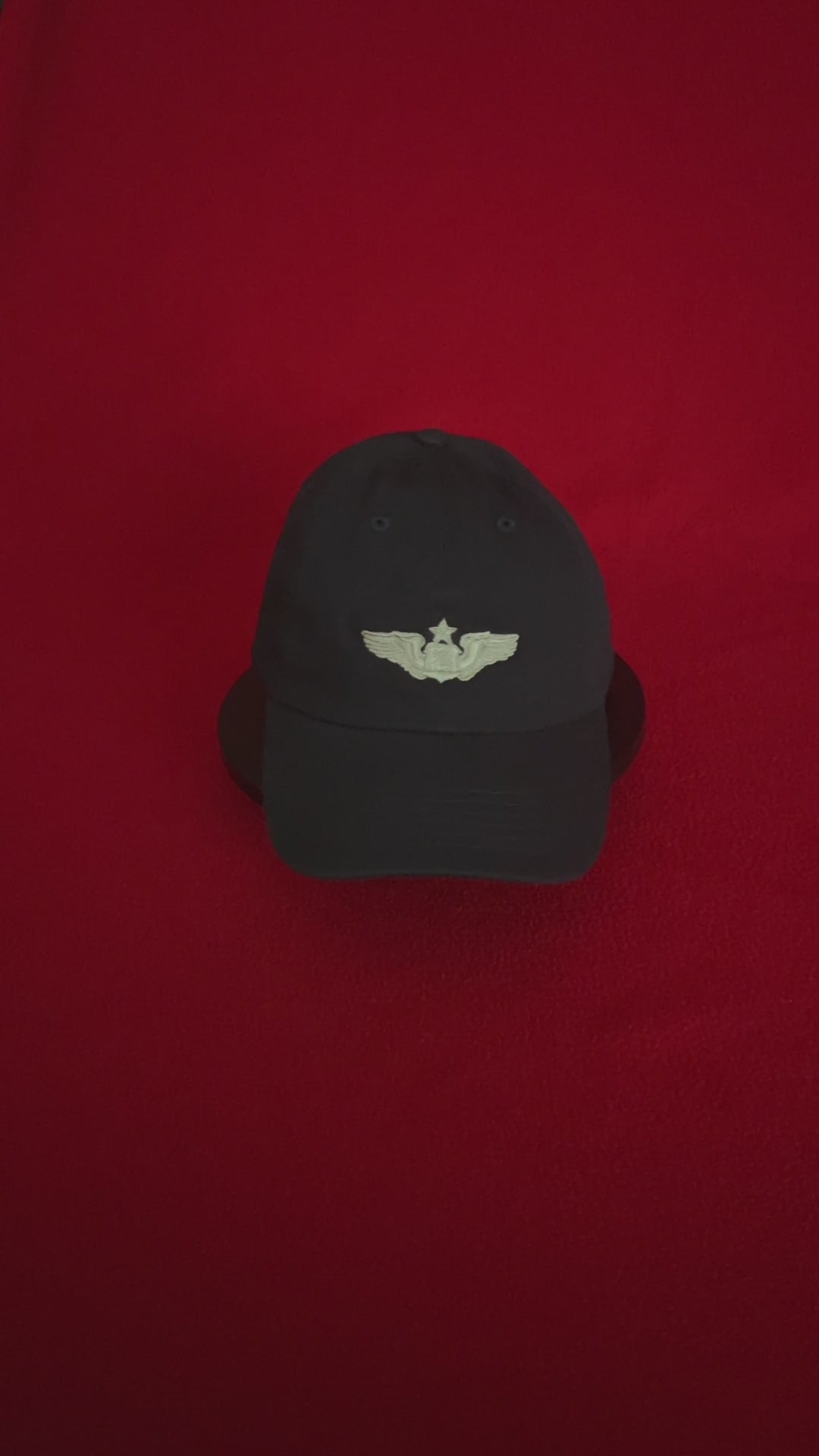 Senior Navigator CSO Wings