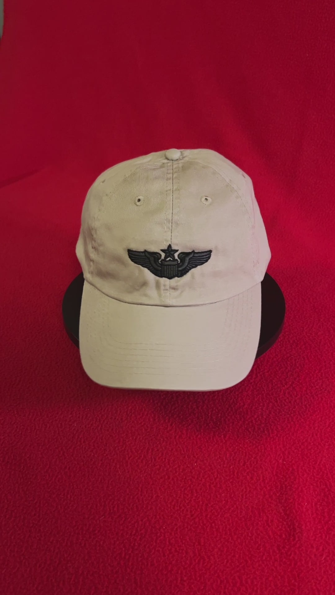 Senior Pilot Wings